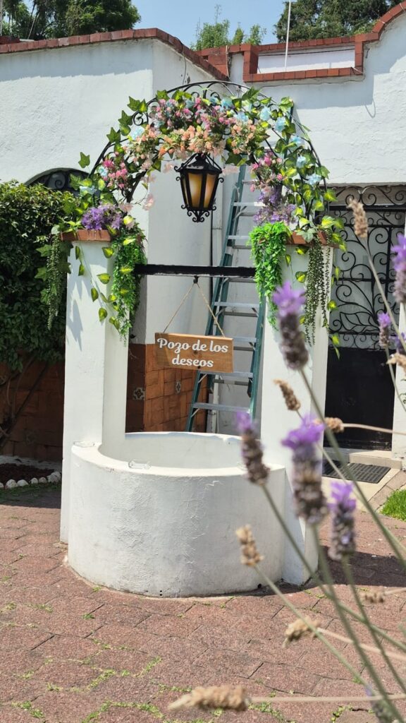 montaje jardin y